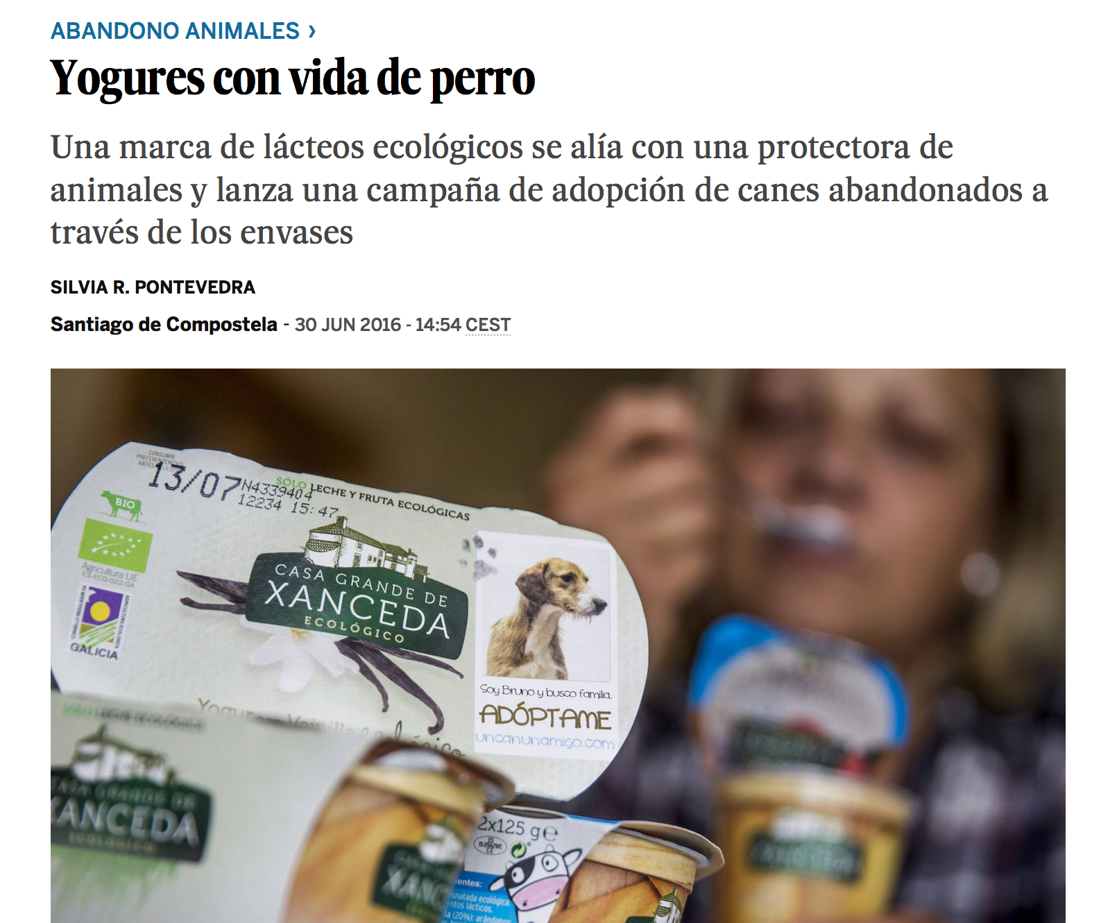 Yogures con vida de perro